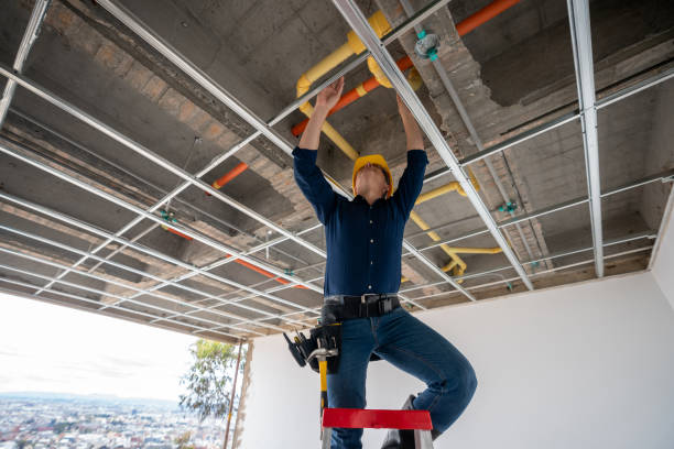Best 24-Hour Plumber Near Me  in Stlman Valley, IL
