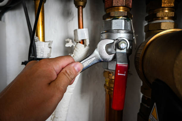 Best Septic Systems  in Stlman Valley, IL